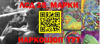 индика Моздок
