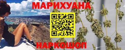 прущие грибы Можайск