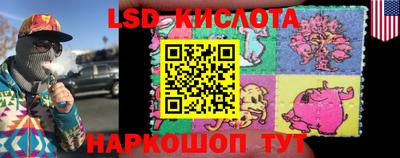 прущие грибы Можайск
