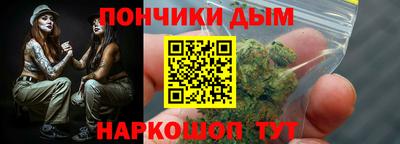 индика Моздок