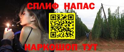 прущие грибы Можайск
