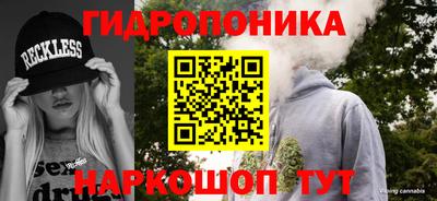 индика Моздок