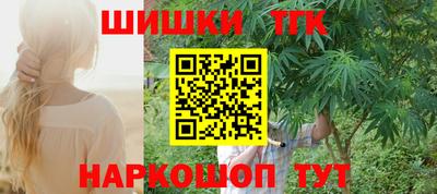 индика Моздок