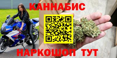 индика Моздок
