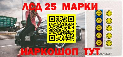индика Моздок