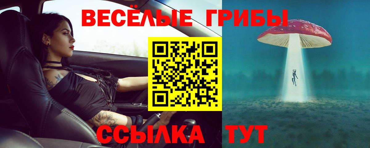 Спасск-Дальний  Псилоцибиновые грибы ЛСД  где продают наркотики  Вход с VPN  Галлюциногенные грибы Psilocybine cubensis 